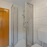 Bodebaude