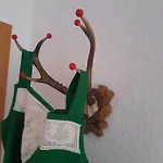 Bodebaude