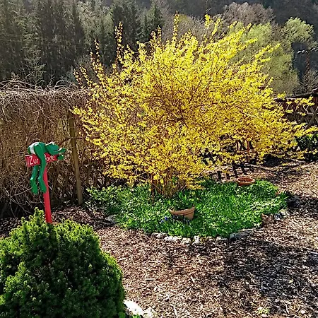 Bodebaude Dom wakacyjny Thale