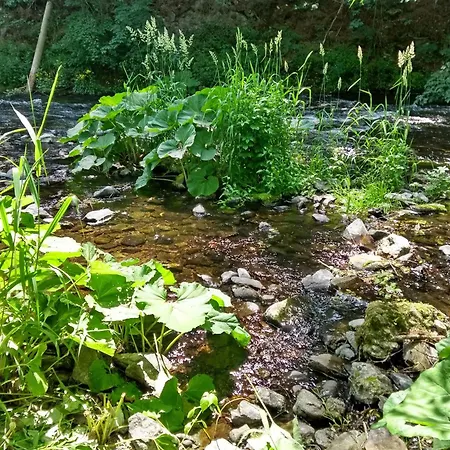 Bodebaude Dom wakacyjny *