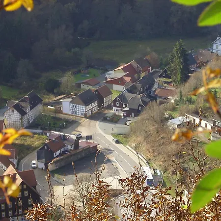 Bodebaude