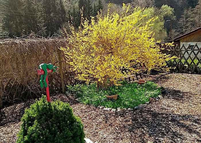 Bodebaude Semesterbostad Thale