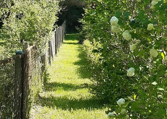 Semesterbostad Bodebaude *