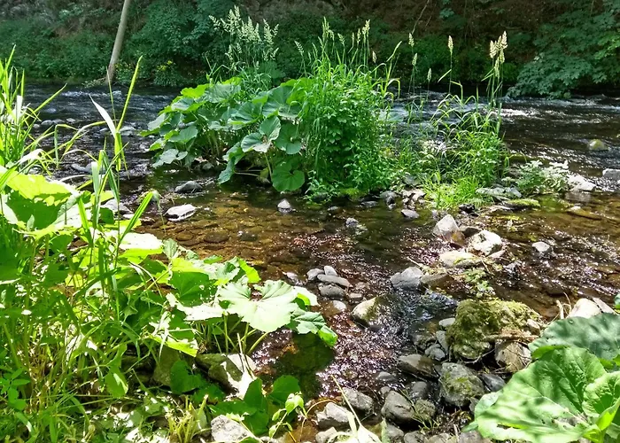 Bodebaude Semesterbostad *